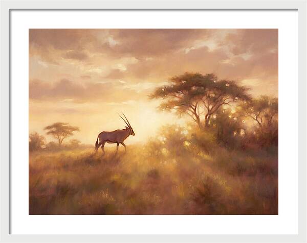 Beisa Oryx At Dawn