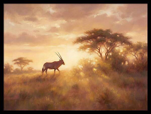 Beisa Oryx At Dawn