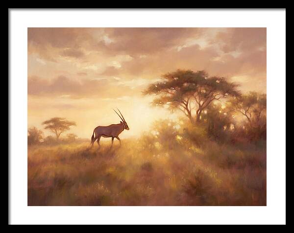 Beisa Oryx At Dawn