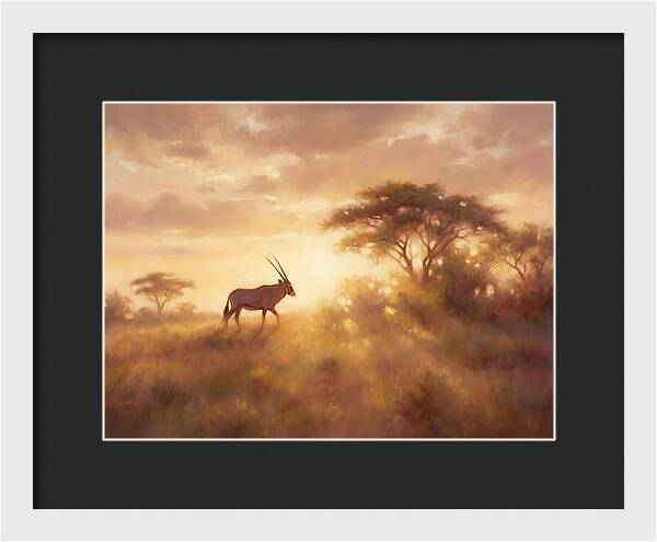 Beisa Oryx At Dawn