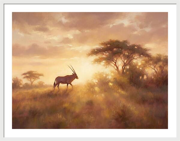 Beisa Oryx At Dawn