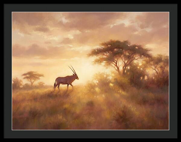 Beisa Oryx At Dawn