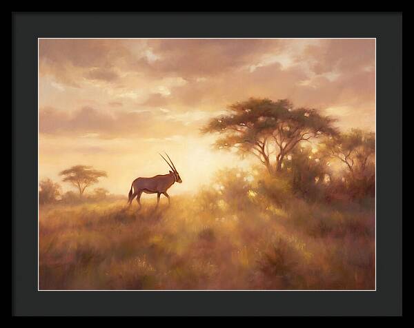 Beisa Oryx At Dawn
