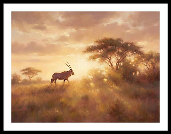 Beisa Oryx At Dawn