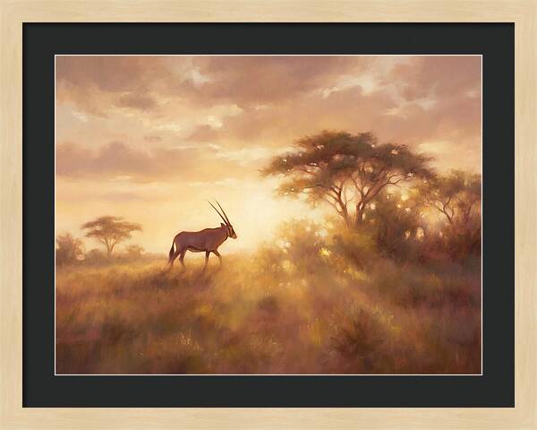 Beisa Oryx At Dawn