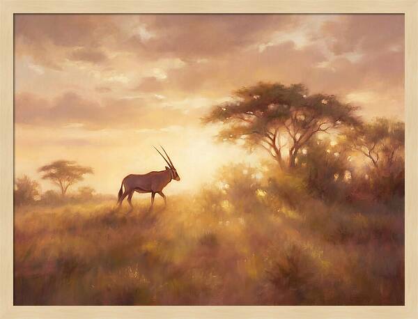 Beisa Oryx At Dawn