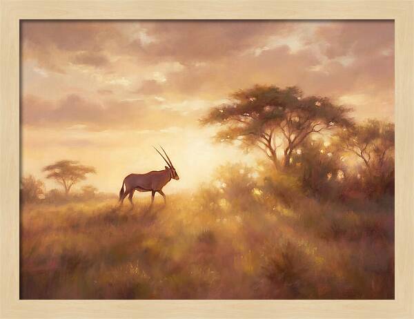 Beisa Oryx At Dawn