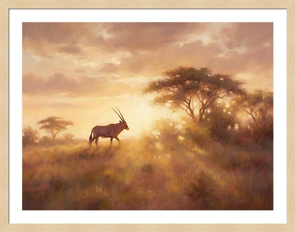 Beisa Oryx At Dawn