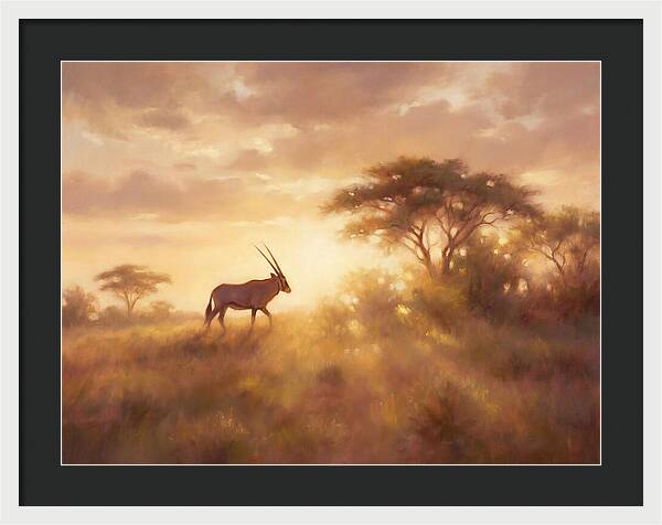 Beisa Oryx At Dawn