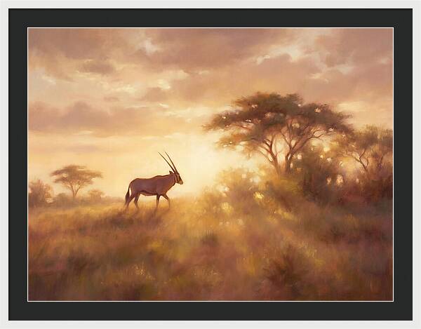 Beisa Oryx At Dawn