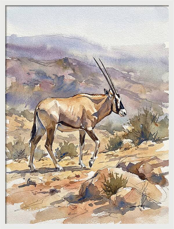 Beisa Oryx In Natural Habitat