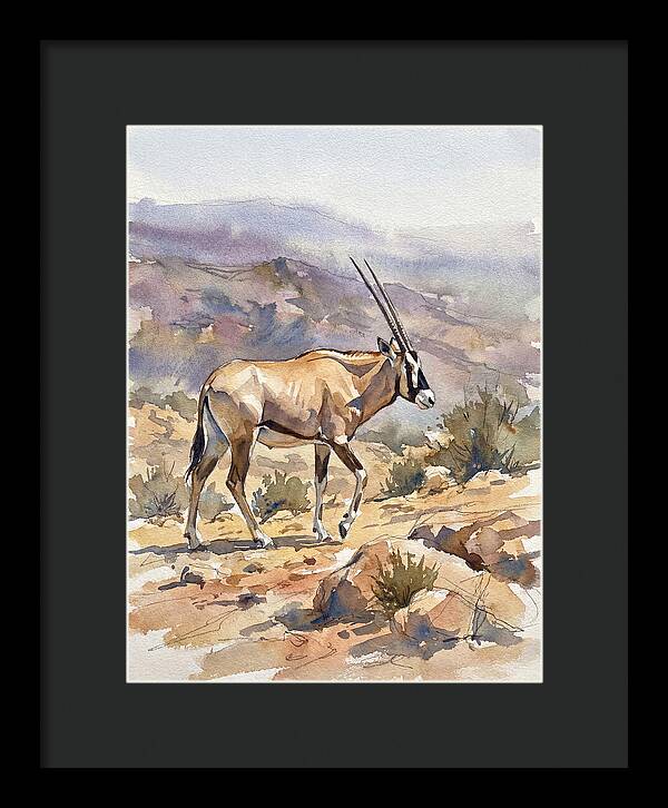 Beisa Oryx In Natural Habitat