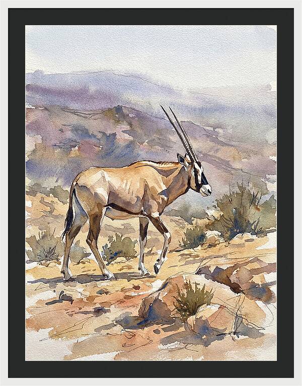 Beisa Oryx In Natural Habitat
