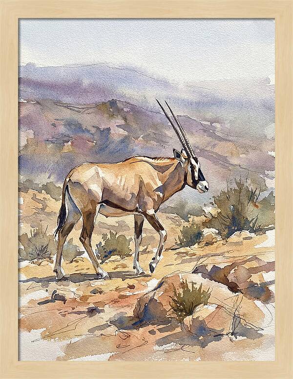 Beisa Oryx In Natural Habitat