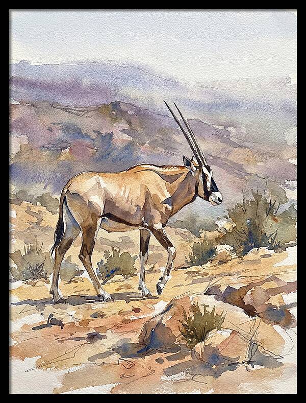 Beisa Oryx In Natural Habitat