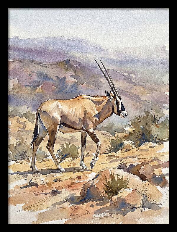 Beisa Oryx In Natural Habitat