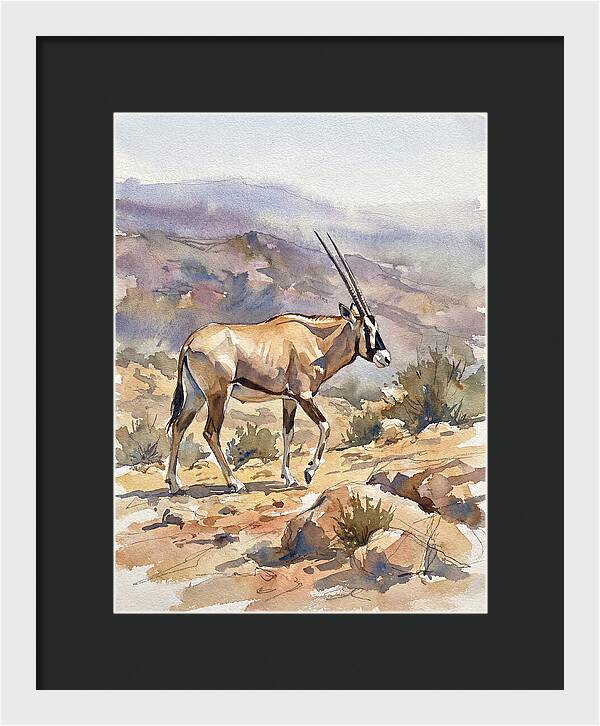 Beisa Oryx In Natural Habitat
