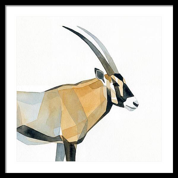 Beisa Oryx Minimalist