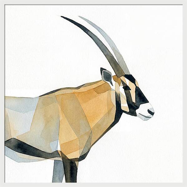 Beisa Oryx Minimalist