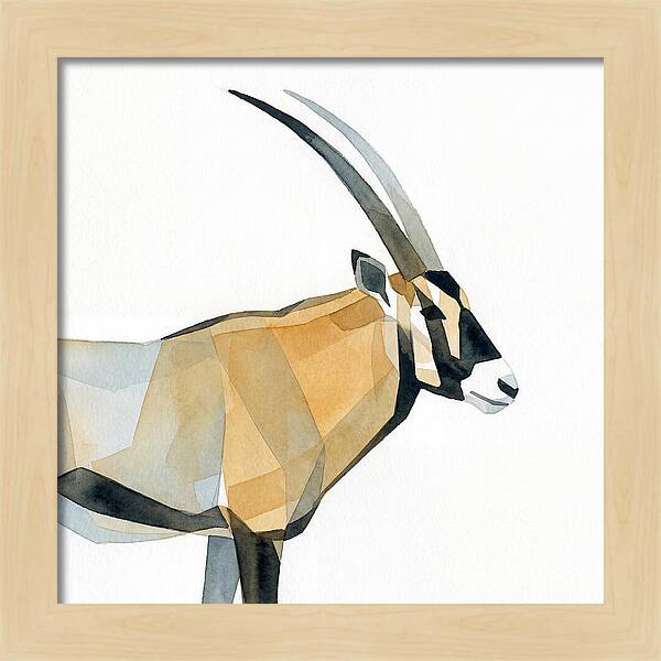 Beisa Oryx Minimalist