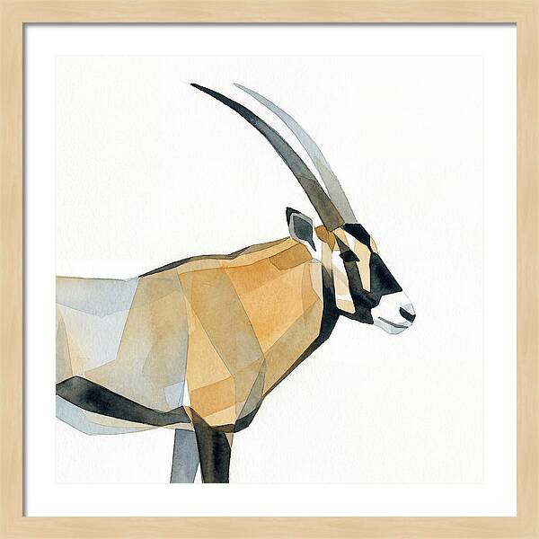 Beisa Oryx Minimalist