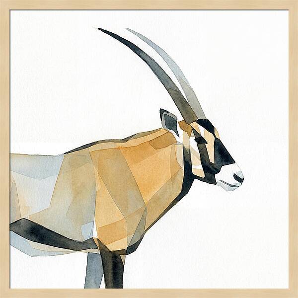 Beisa Oryx Minimalist