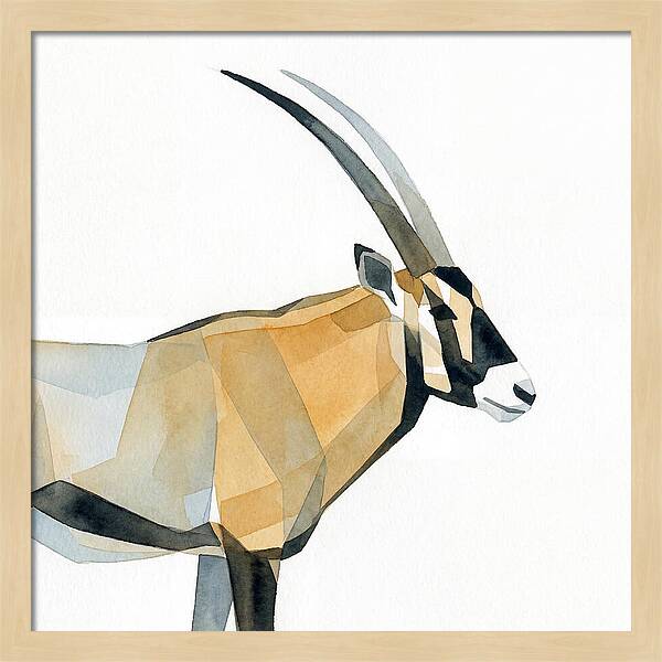 Beisa Oryx Minimalist