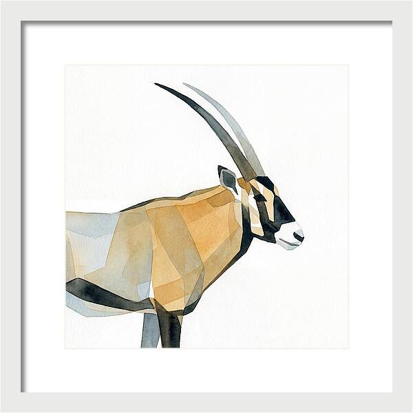 Beisa Oryx Minimalist