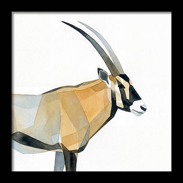 Beisa Oryx Minimalist
