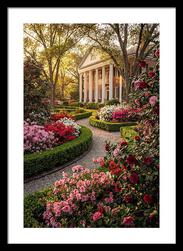 Bellingrath Gardens Serenity