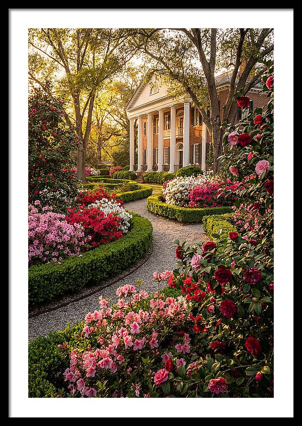 Bellingrath Gardens Serenity