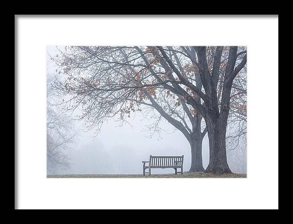 Beneath The Autumn Canopy