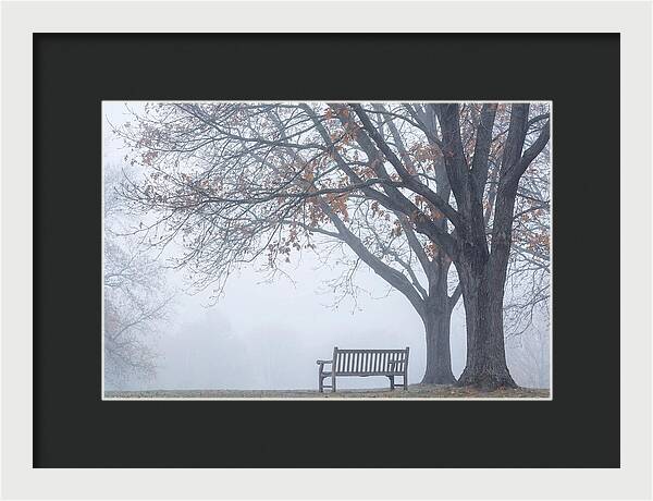 Beneath The Autumn Canopy