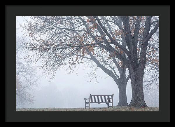 Beneath The Autumn Canopy