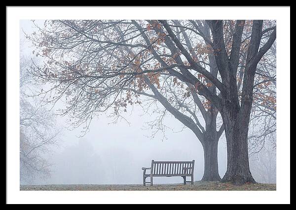 Beneath The Autumn Canopy
