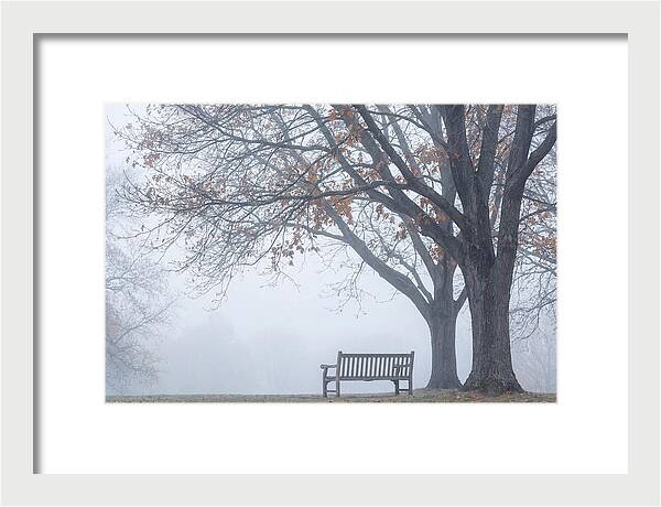 Beneath The Autumn Canopy