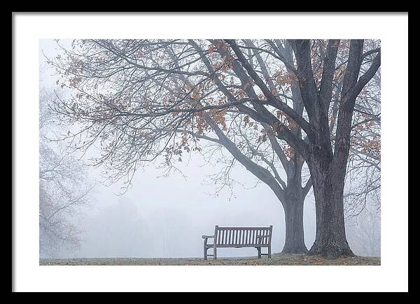 Beneath The Autumn Canopy