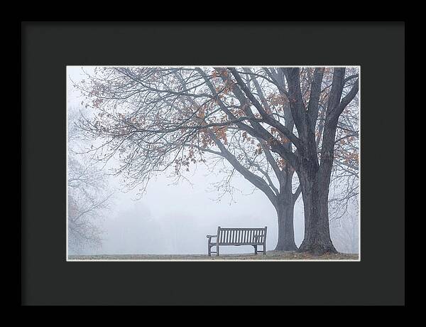Beneath The Autumn Canopy