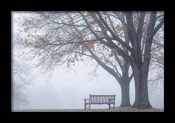 Beneath The Autumn Canopy