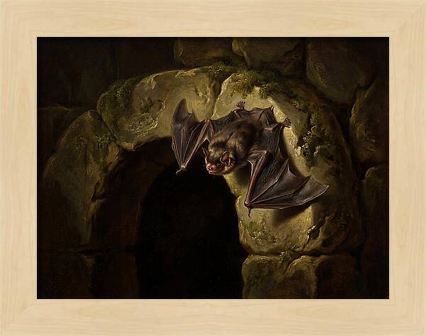 Beneath The Stone Archway