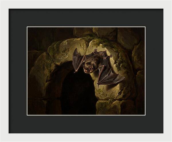 Beneath The Stone Archway