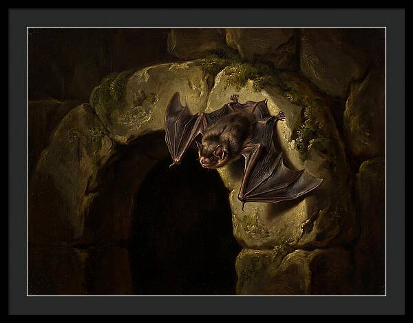 Beneath The Stone Archway