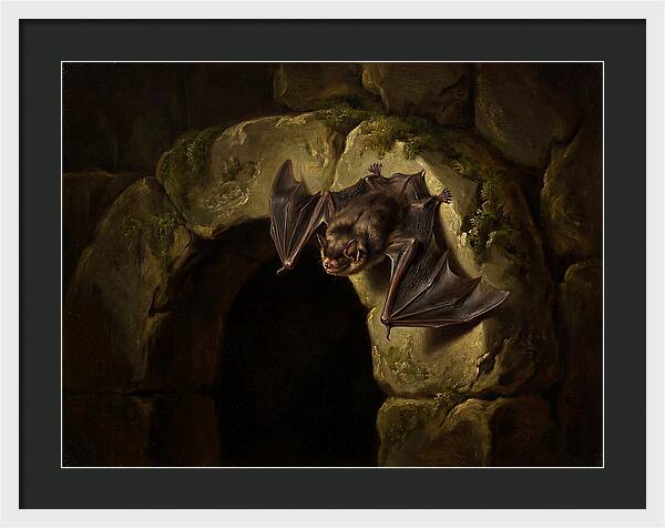 Beneath The Stone Archway