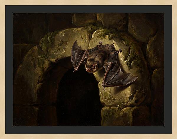Beneath The Stone Archway