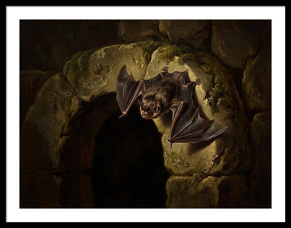 Beneath The Stone Archway