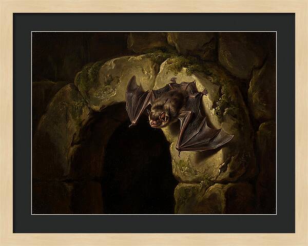 Beneath The Stone Archway