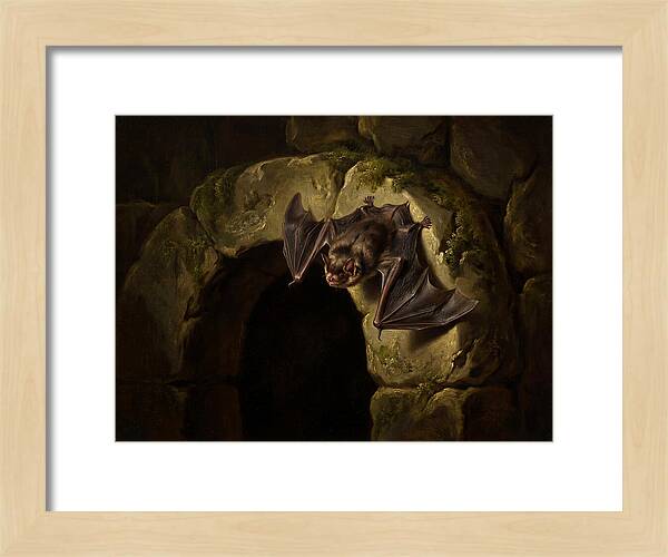 Beneath The Stone Archway
