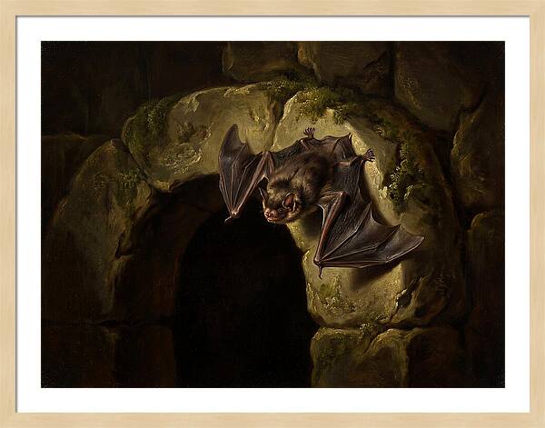 Beneath The Stone Archway