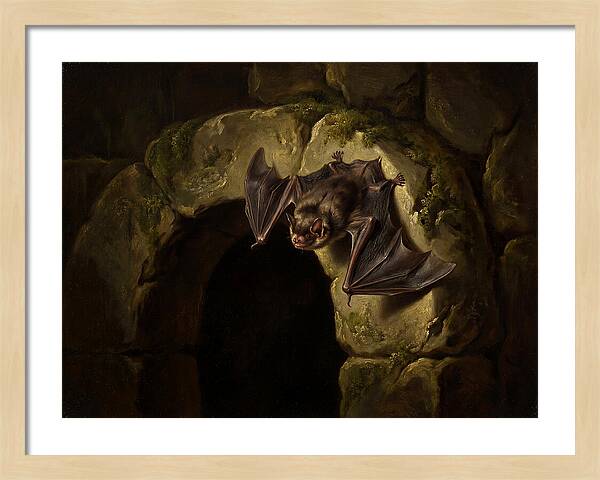 Beneath The Stone Archway
