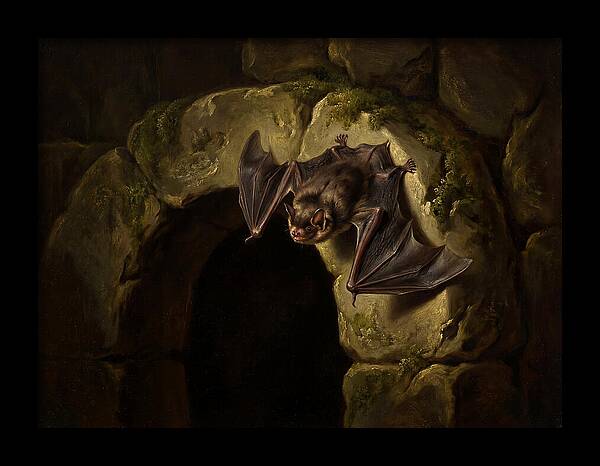 Beneath The Stone Archway